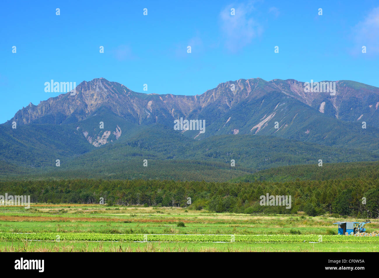 Champ de légumes et de montagne au Japon, Mt.Yatsugatake Banque D'Images