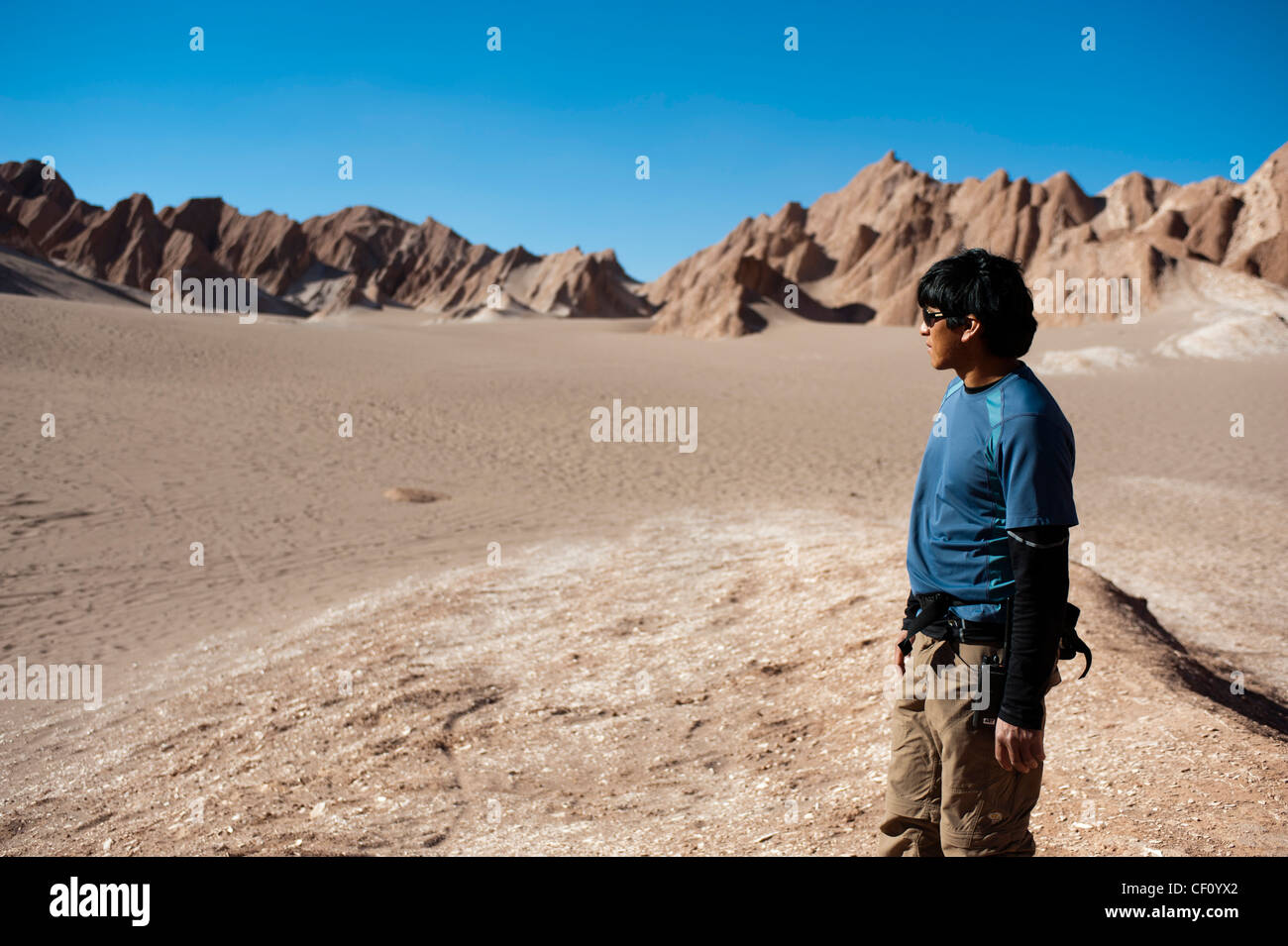 Valle de la Luna (vallée de la lune), Désert d'Atacama, au Chili. Banque D'Images