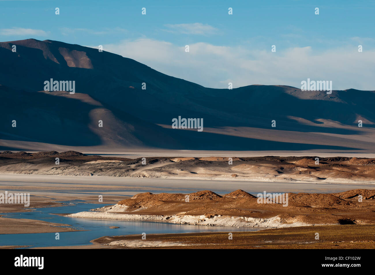 Salar de Talar, Désert d'Atacama, au Chili. Banque D'Images