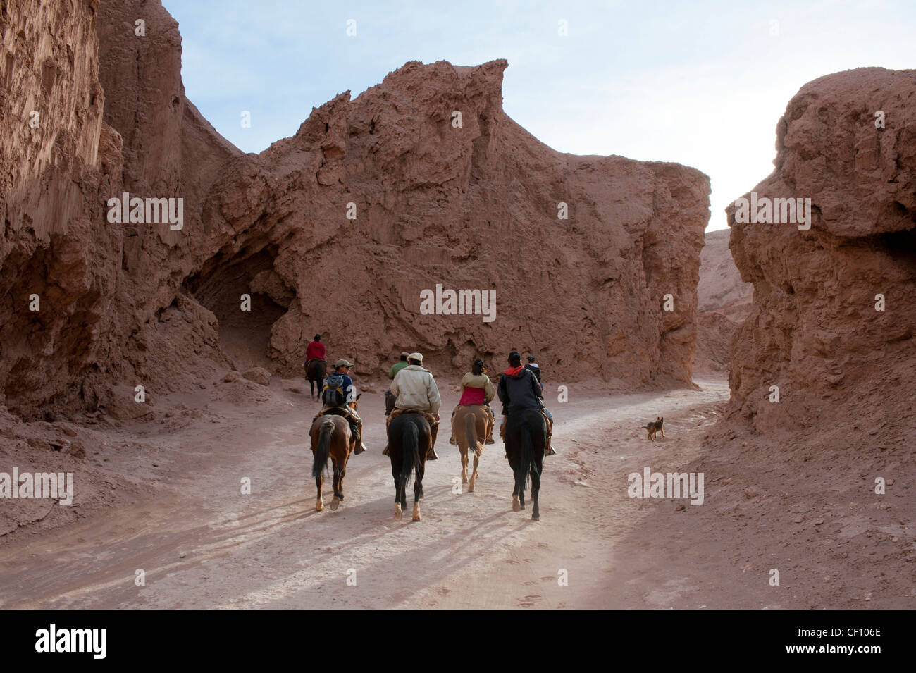 L'équitation, Valle de la Luna (vallée de la lune), Désert d'Atacama, au Chili. Banque D'Images