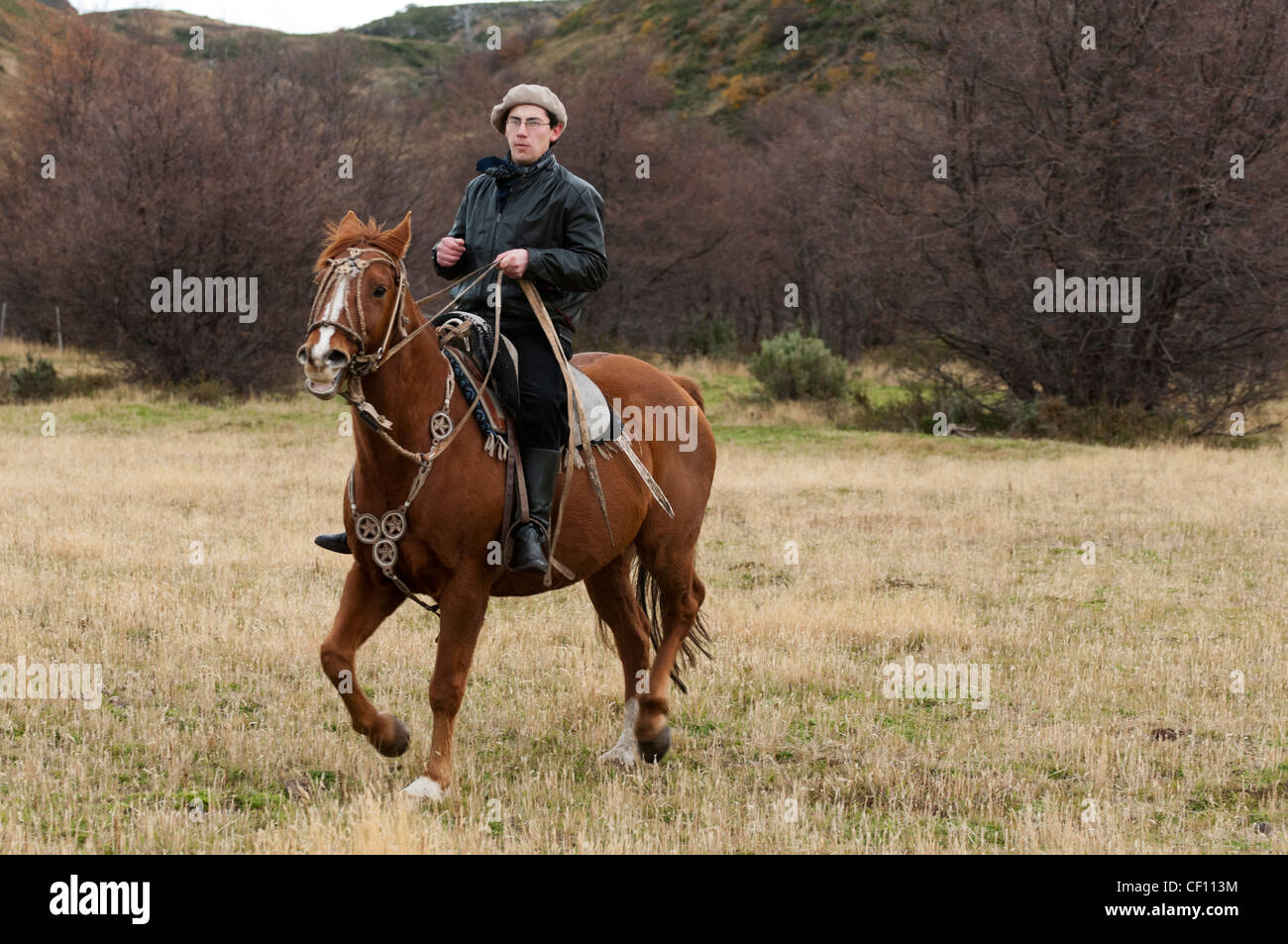 Tourisme à cheval, Parc National Torres del Paine, en Patagonie, au Chili. Banque D'Images