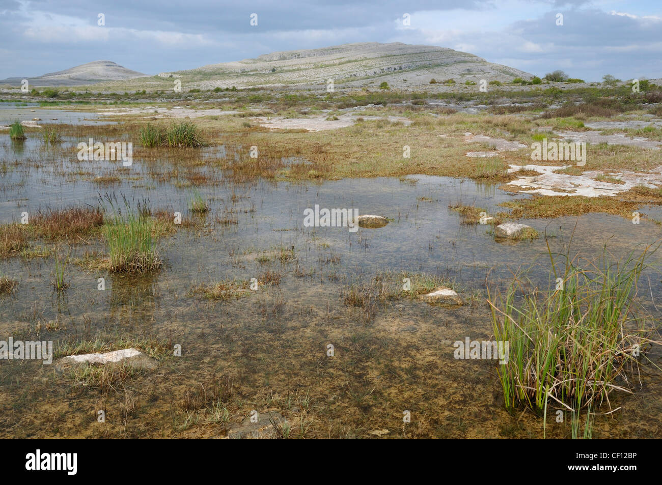 Lac de saison ou Turlough se dessèche au printemps, Mullaghmore, le Parc National de Burren, comté de Clare, Irlande Banque D'Images