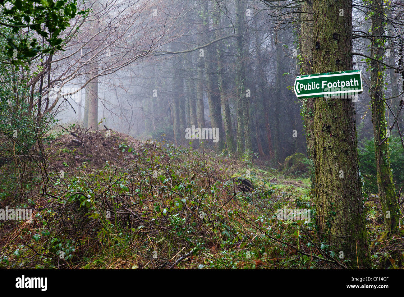 Sentier public autour du Club de Golf de Pontardawe, Pontardawe, au Pays de Galles Banque D'Images