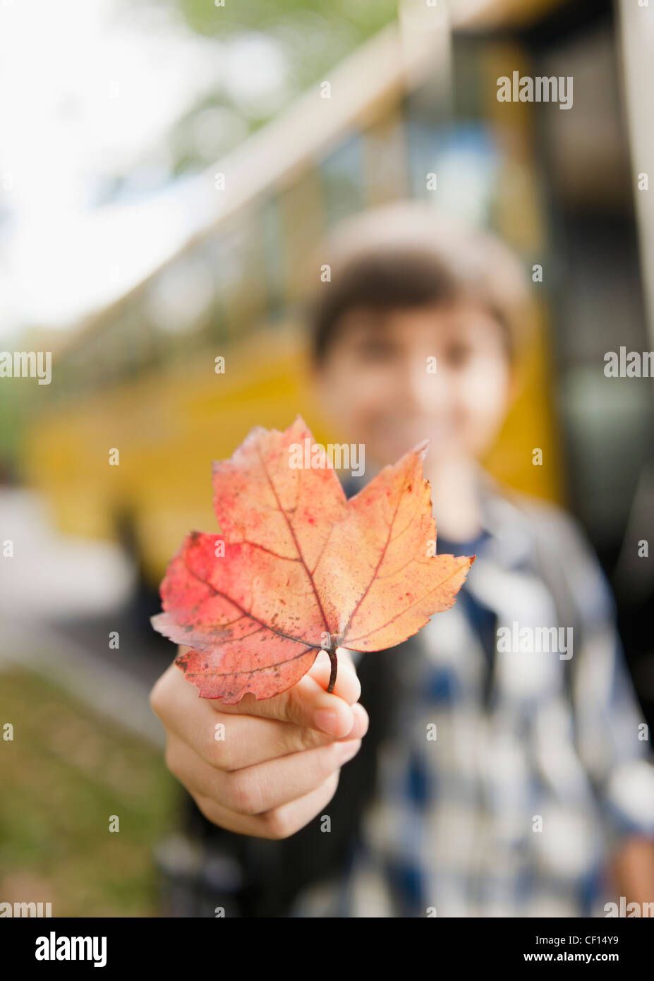 Caucasian boy holding autumn leaf Banque D'Images