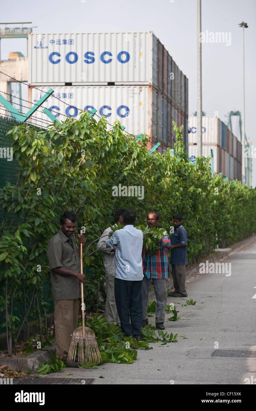 Les travailleurs migrants la végétation claire dans une rue de Singapour. Banque D'Images