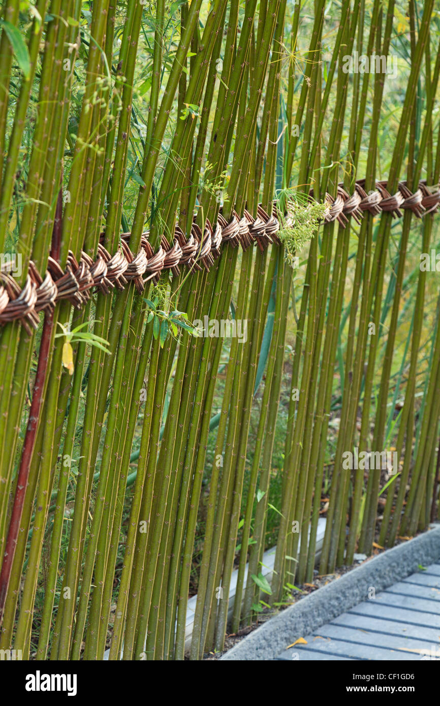 Le tissage avec Salix au Festival International des jardins de Chaumont-sur-Loire. Banque D'Images