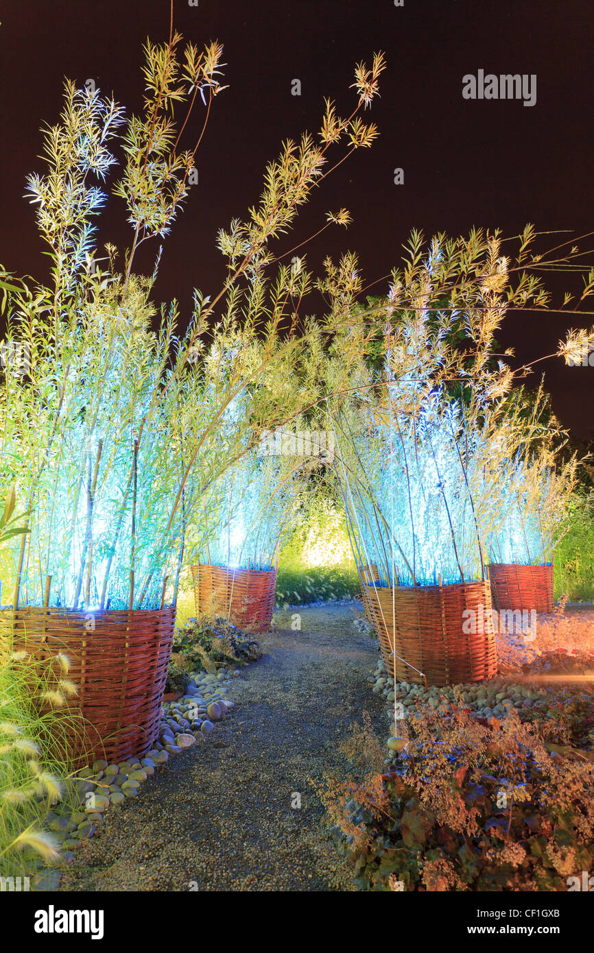 Des paniers en bambou et par nuit, Festival des jardins de Chaumont-sur-Loire : 'Des racines du corps à la bulle de l'âme" Banque D'Images