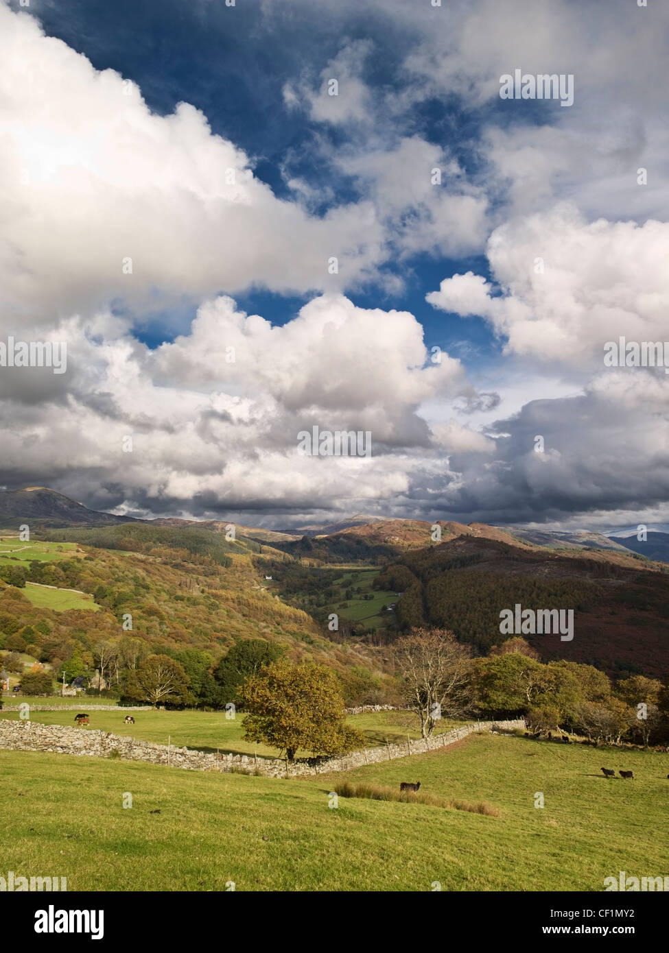 Vues sur les terres agricoles pour les montagnes du sud de Snowdonia. Banque D'Images