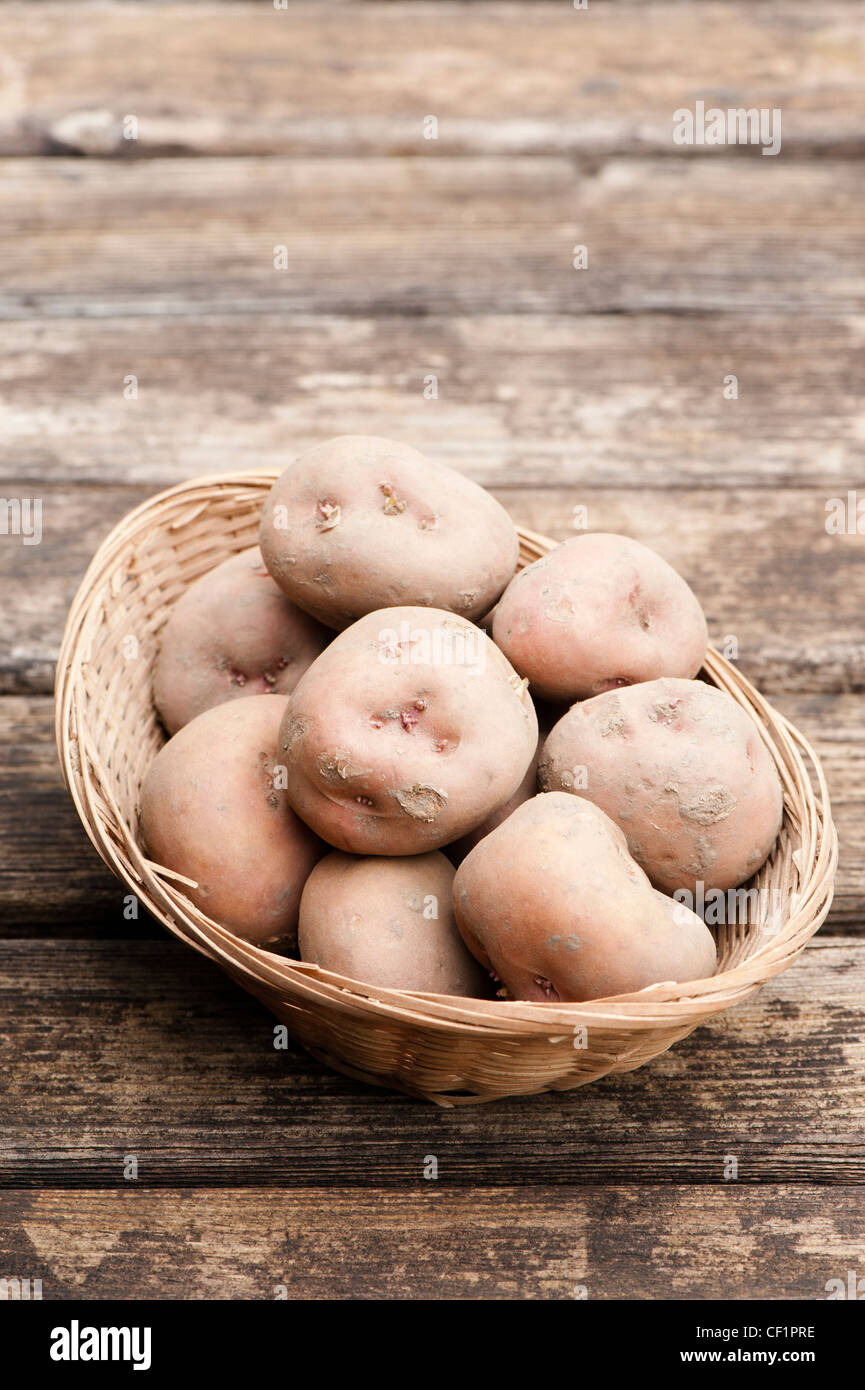 Graines De Pommes De Terre (Solanum Tuberosum) - Environ 20 Semences - Variétés Couleurs Et Formes Différentes - 4