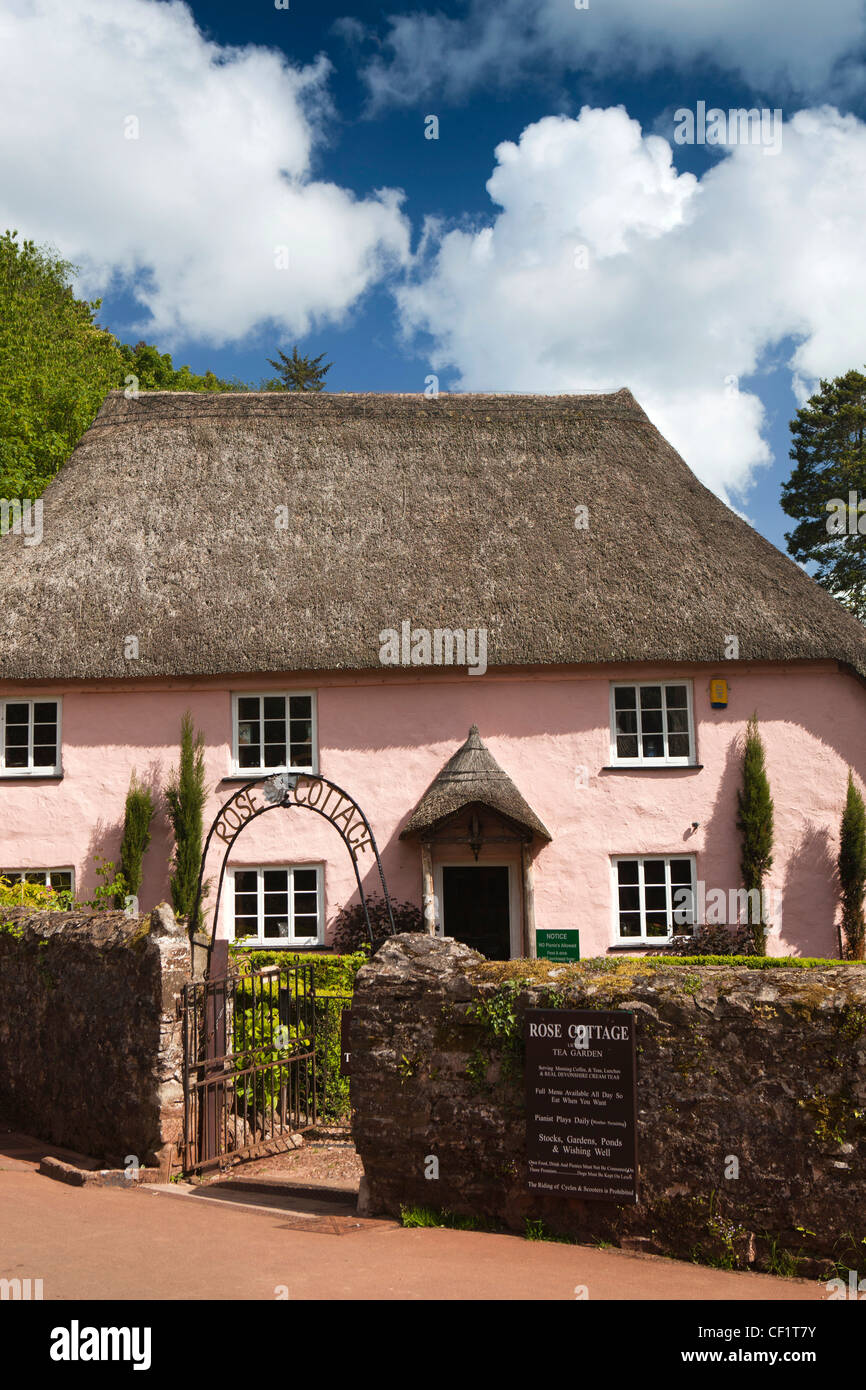 Royaume-uni, Angleterre, Devon, Torquay, Cockington Village, jardin de thé Rose Cottage Banque D'Images