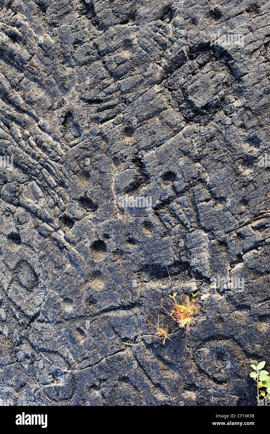 Pu'u Loa pétroglyphes sur lave, Kilauea Volcano, Hawaii Islands, Usa Banque D'Images