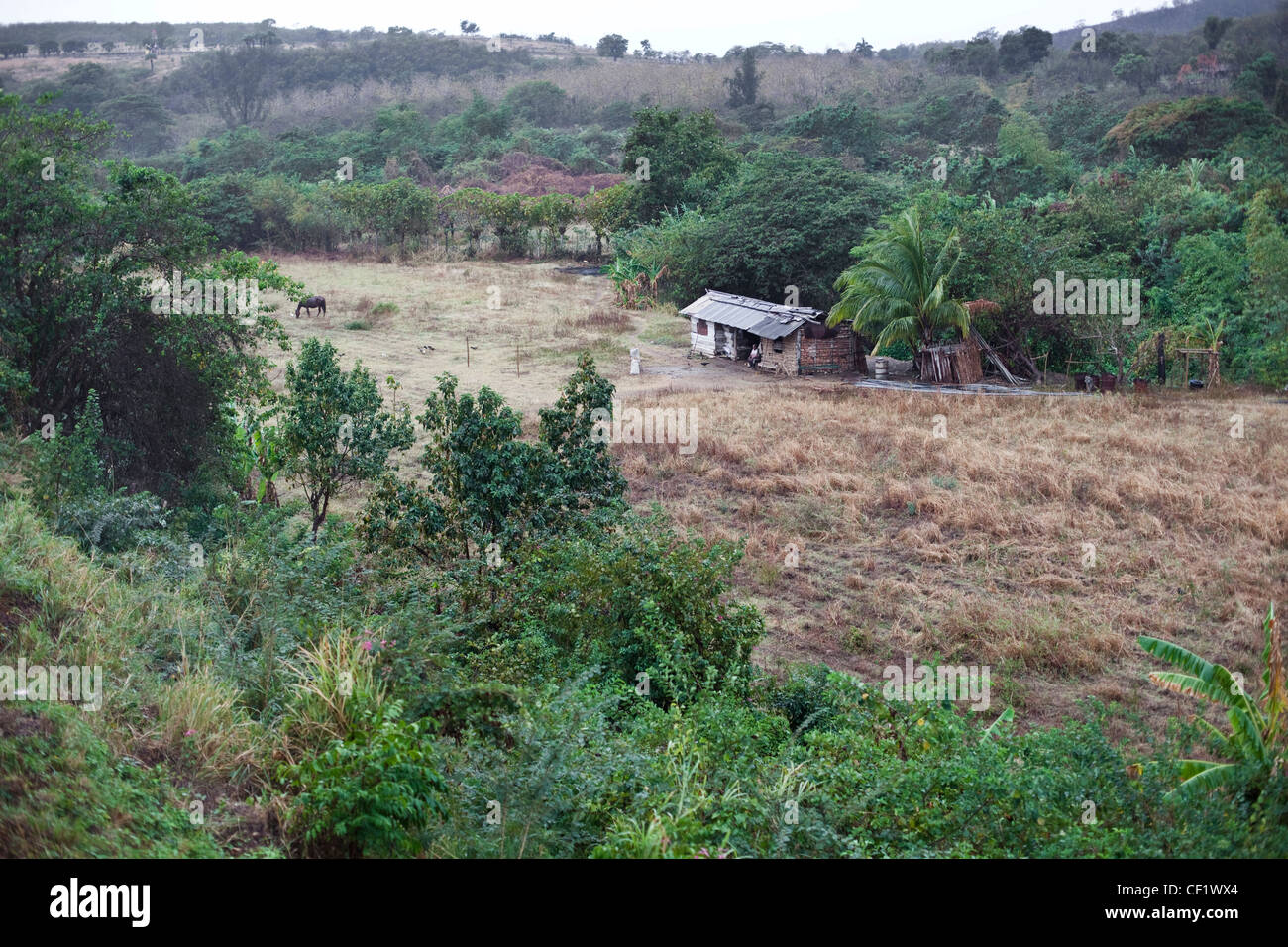Vue sur la campagne et une ferme d'un train à vapeur à Cuba Banque D'Images