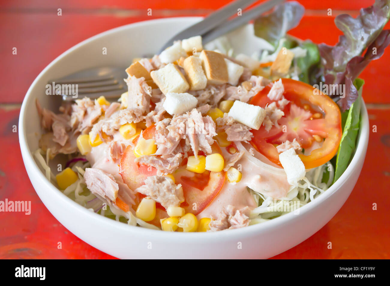 Salade de thon aux légumes sur bol blanc Banque D'Images