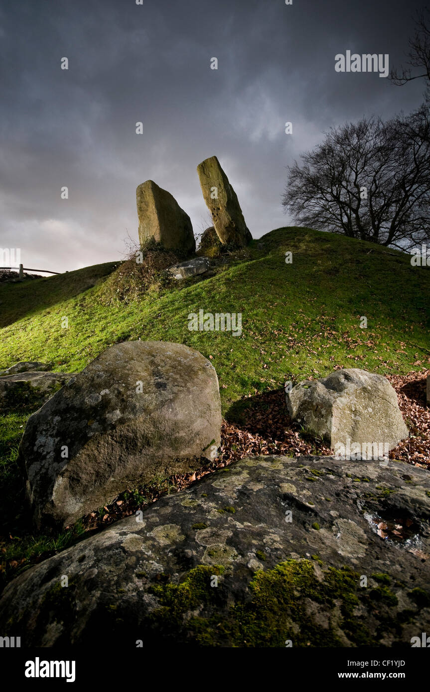 Chambré Néolithique Coldrum Long Barrow près de Trottiscliffe, Kent, UK Banque D'Images