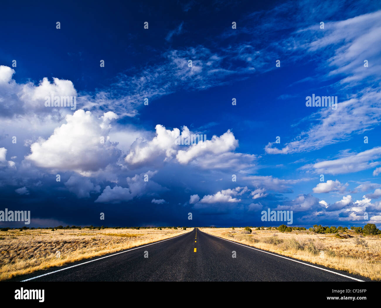 Les nuages de tempête et d'orage au-dessus d'une route du désert du Nouveau Mexique, USA. Banque D'Images