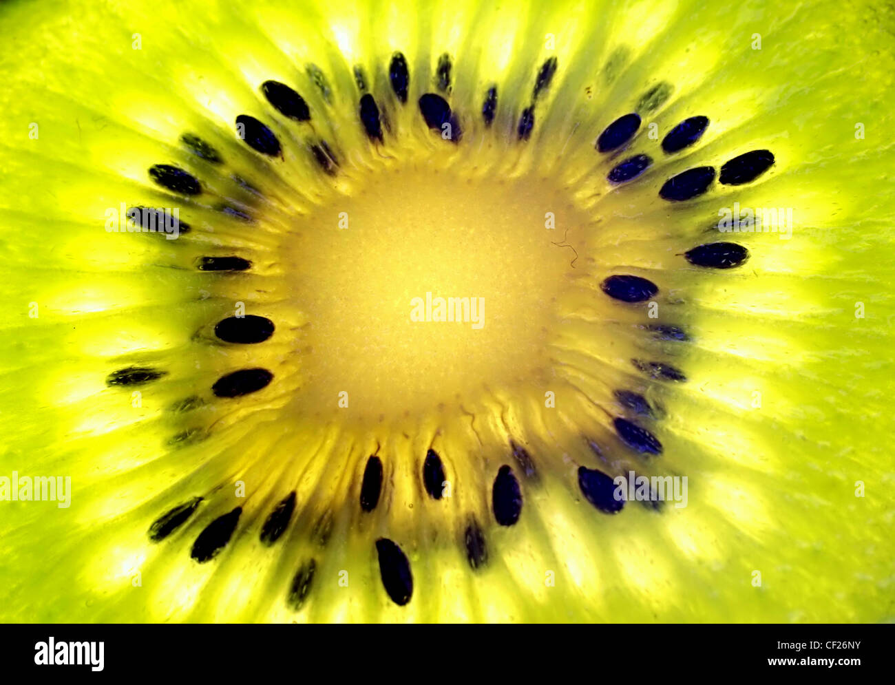 Amazing close-up de kiwi avec beaucoup de couleurs et de lumière Banque D'Images