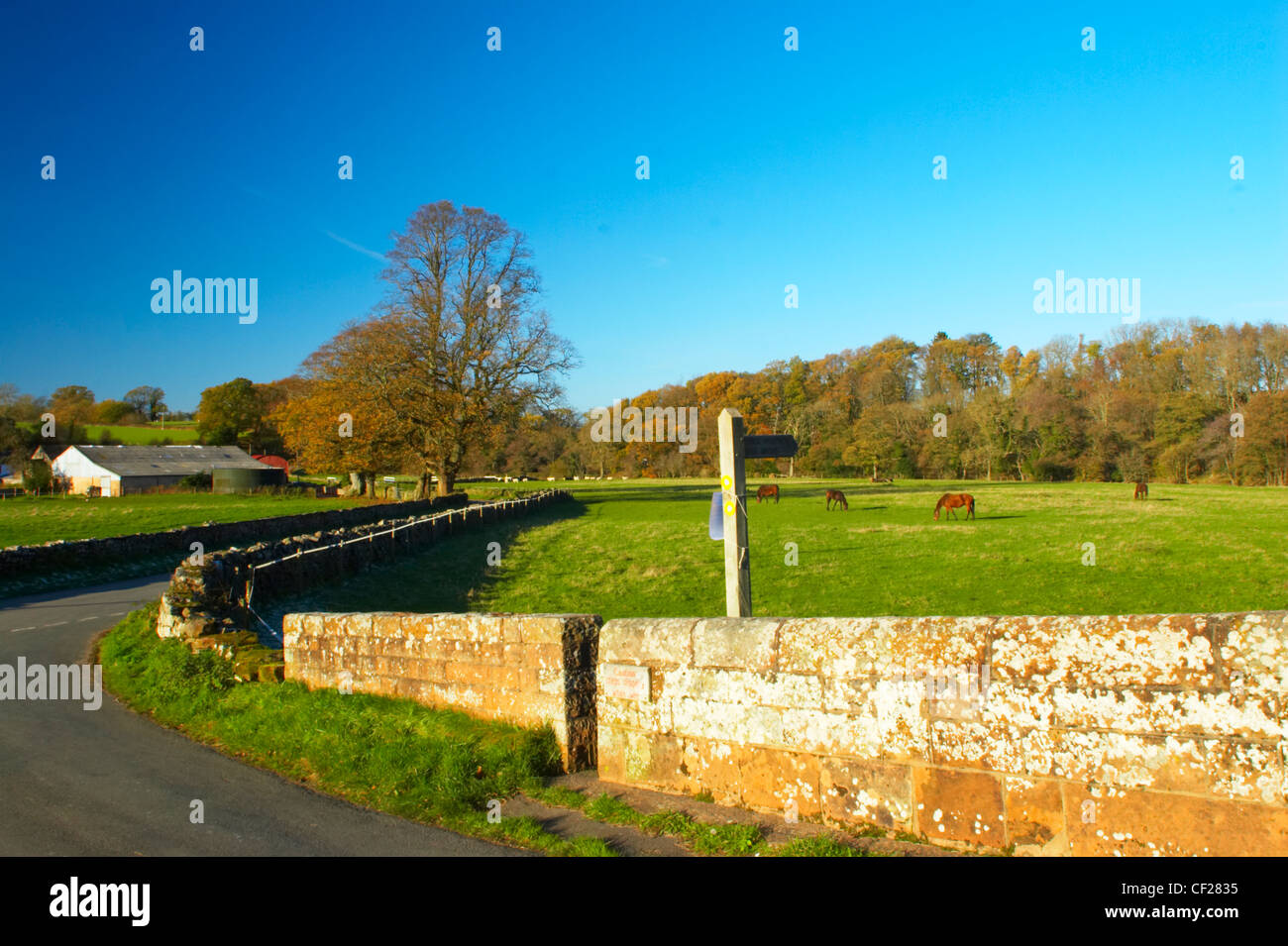 Chemin de campagne, champs et sentier public panneau près du pont de Bell. Banque D'Images
