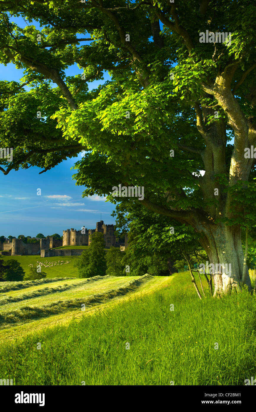 Château d'Alnwick vu de terres agricoles. Château d'Alnwick est un des plus beaux châteaux médiévaux en Angleterre. Souvent appelé Banque D'Images