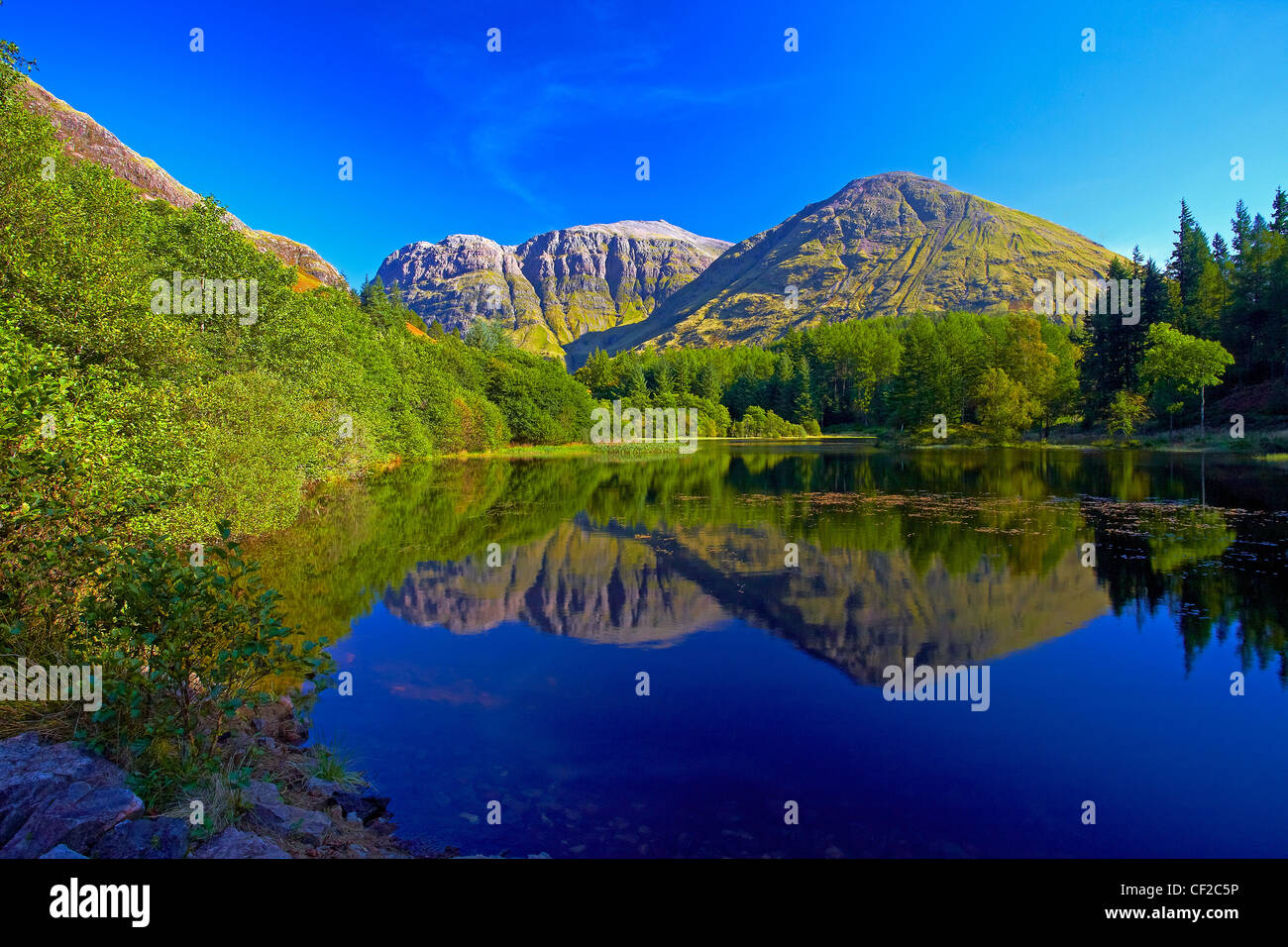 Aonach Dubh, l'une des trois Sœurs de Glen Coe reflète dans l'eau de Torren Lochan. Banque D'Images