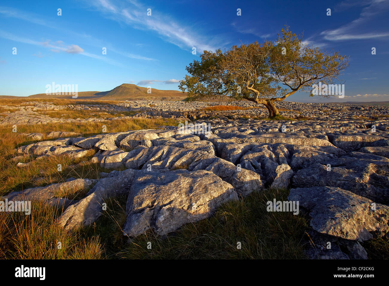 Voir d'Ingleborough, la deuxième plus haute montagne dans le Yorkshire Dales et l'un des trois sommets du Yorkshire, d'en haut Twistl Banque D'Images