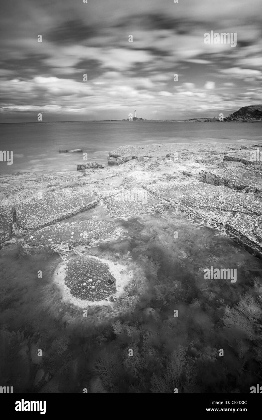 À la direction de St Mary's Island et phare de la baie abritée près de Hartley. Banque D'Images À la direction de St Mary's Island et phare de la baie abritée près de Hartley. Banque D'Images