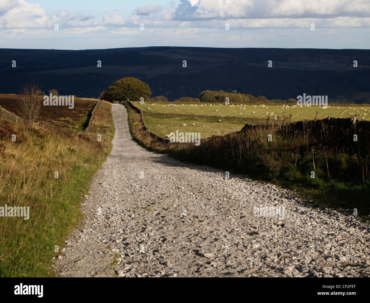 La voie près de Sir William Hill, Peak District Banque D'Images