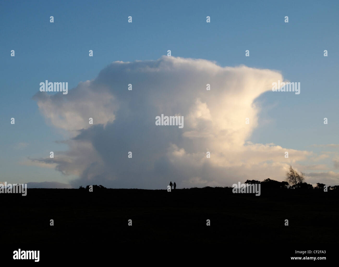 Couple en train de marcher en face de cumulonimbus, Longcross Plain, près de Fritham, New Forest Banque D'Images
