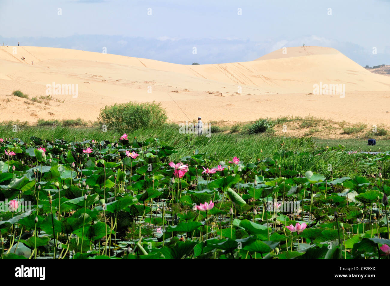 Pêcheur dans un desert lake Banque D'Images