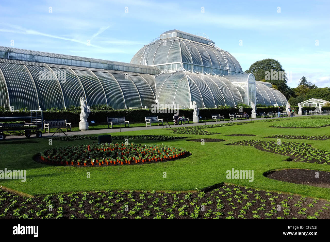 Le Palm House au Royal Botanic Gardens de Kew. Banque D'Images