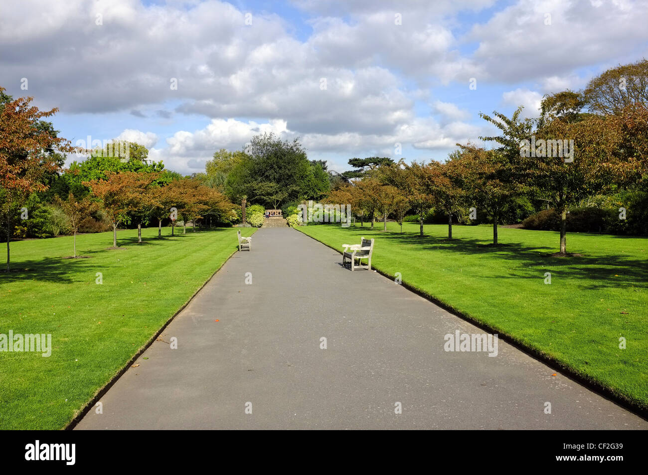 Des bancs le long d'un sentier qui traverse les jardins de Kew. Banque D'Images