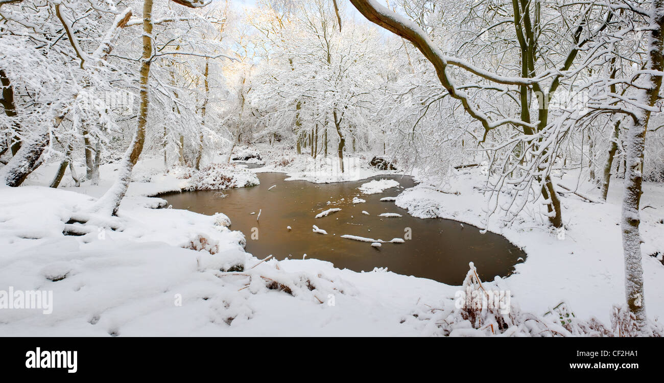 Un étang gelé dans la neige couverts de forêts. Banque D'Images