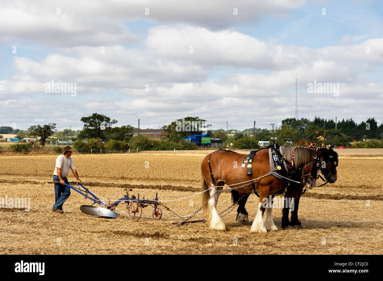 Laboureur et son équipe de chevaux lourds prendre du repos lors d'un concours de labour à l'Essex Show. Banque D'Images