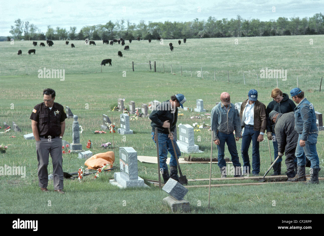 Grave yard au Nebraska où les vaches broutent en arrière-plan les hommes en premier plan creusait une tombe Banque D'Images