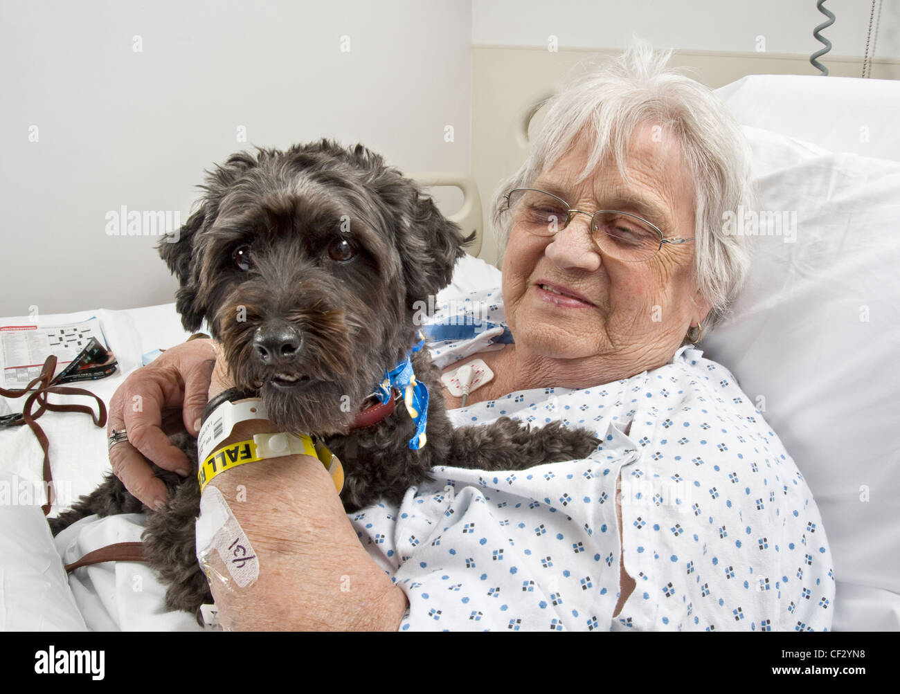 Visite de chien vieille femme malade à l'hôpital dans le cadre d'un programme de zoothérapie, Philadelphie, USA Banque D'Images