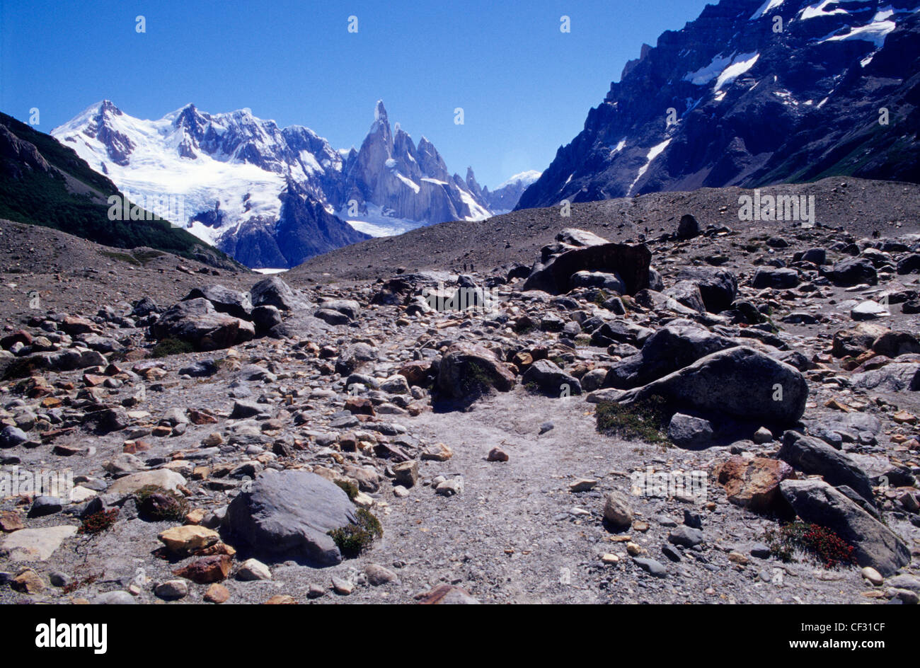 Cerro Torre à l'arrière. El Chalten. Los Andes.Le Parc National Los Glaciares. Province de Santa Cruz. La Patagonie. L'Argentine Banque D'Images