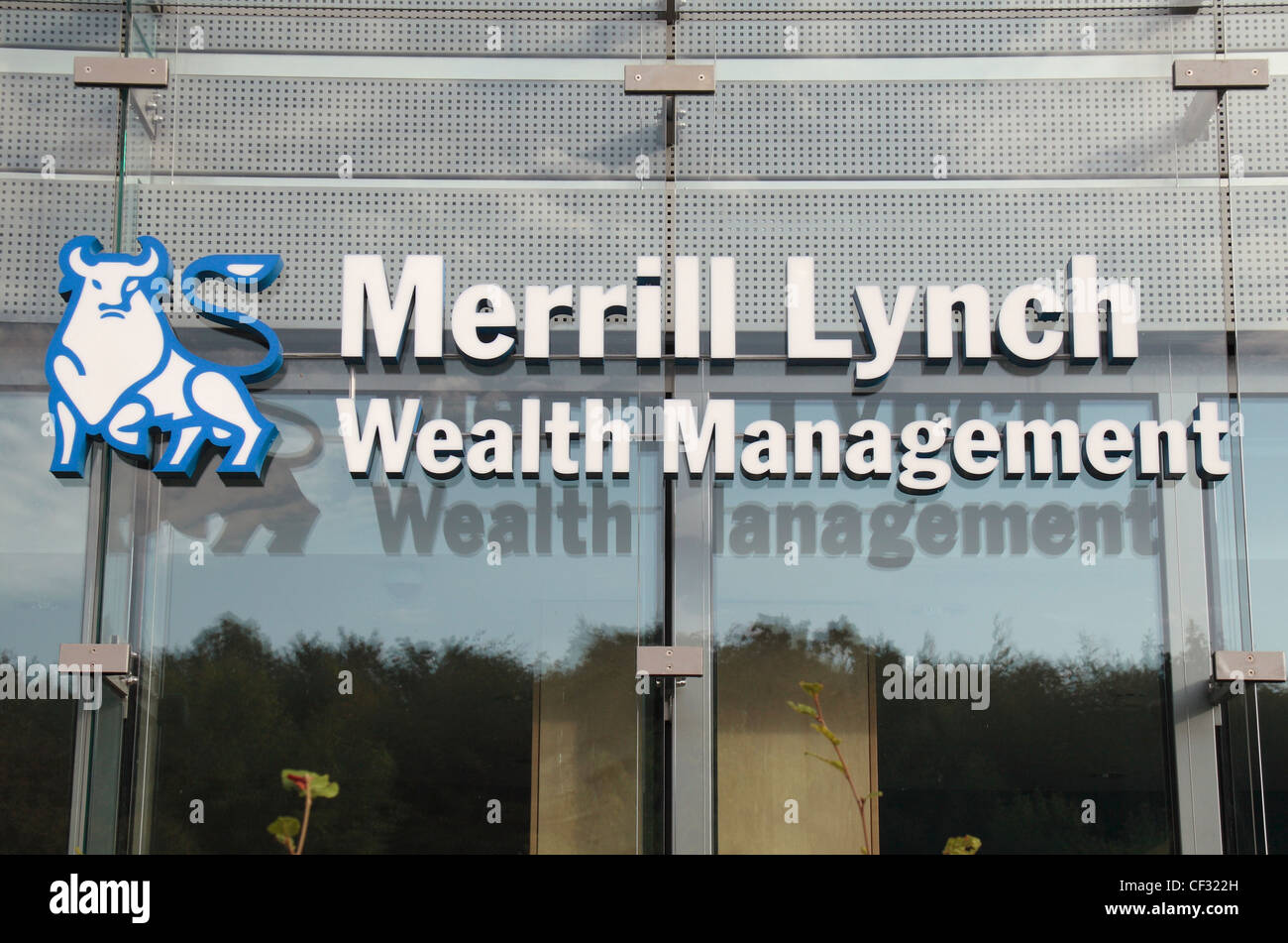 Merrill Lynch (Luxembourg) Sarl Merrill Lynch (Luxembourg) Sarl