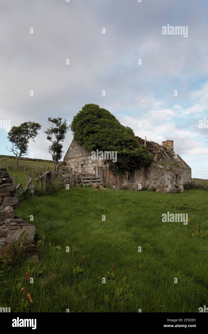 Les ruines d'un croft dans une partie reculée de l'Cabrach. Banque D'Images