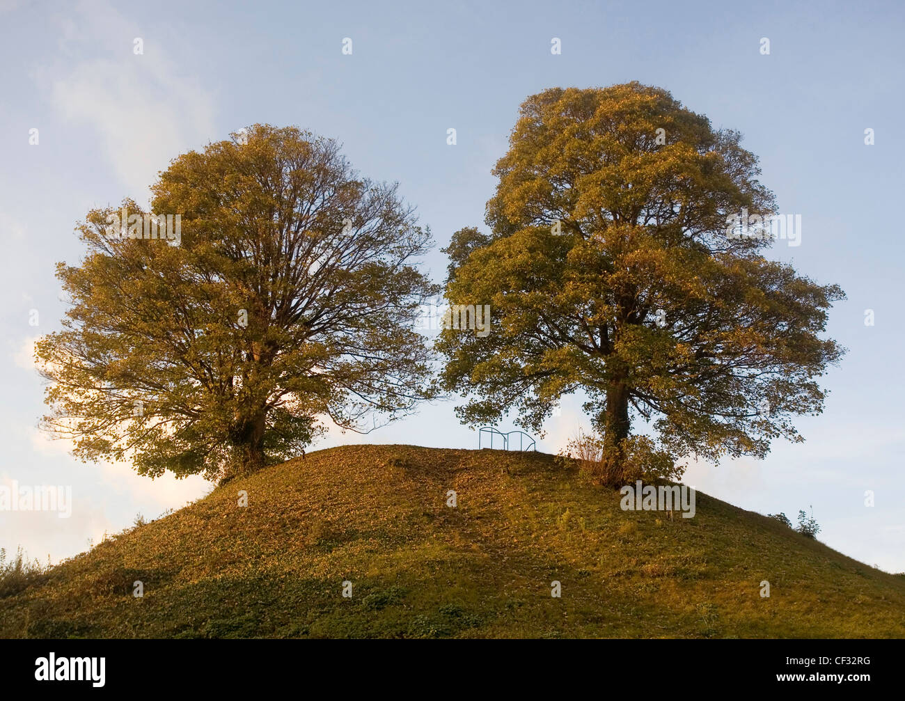 Deux arbres sur le sommet du monticule au château d'Oxford, de l'emplacement de l'origine en bois et garder la principale partie de la survivant Norman castl Banque D'Images