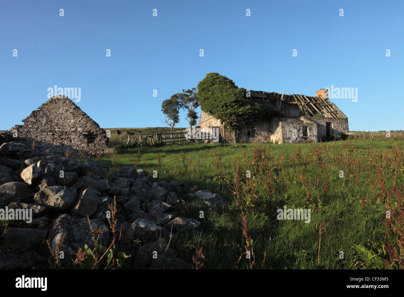 Les ruines d'un croft dans une partie reculée de l'Cabrach. Banque D'Images