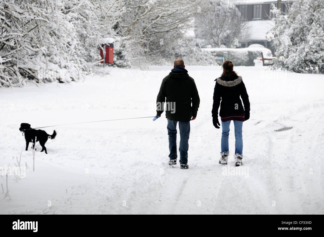 Marcher dans la neige le long de routes de campagne, couple matin dog walk après les fortes chutes de neige Brentwood Essex England UK Banque D'Images