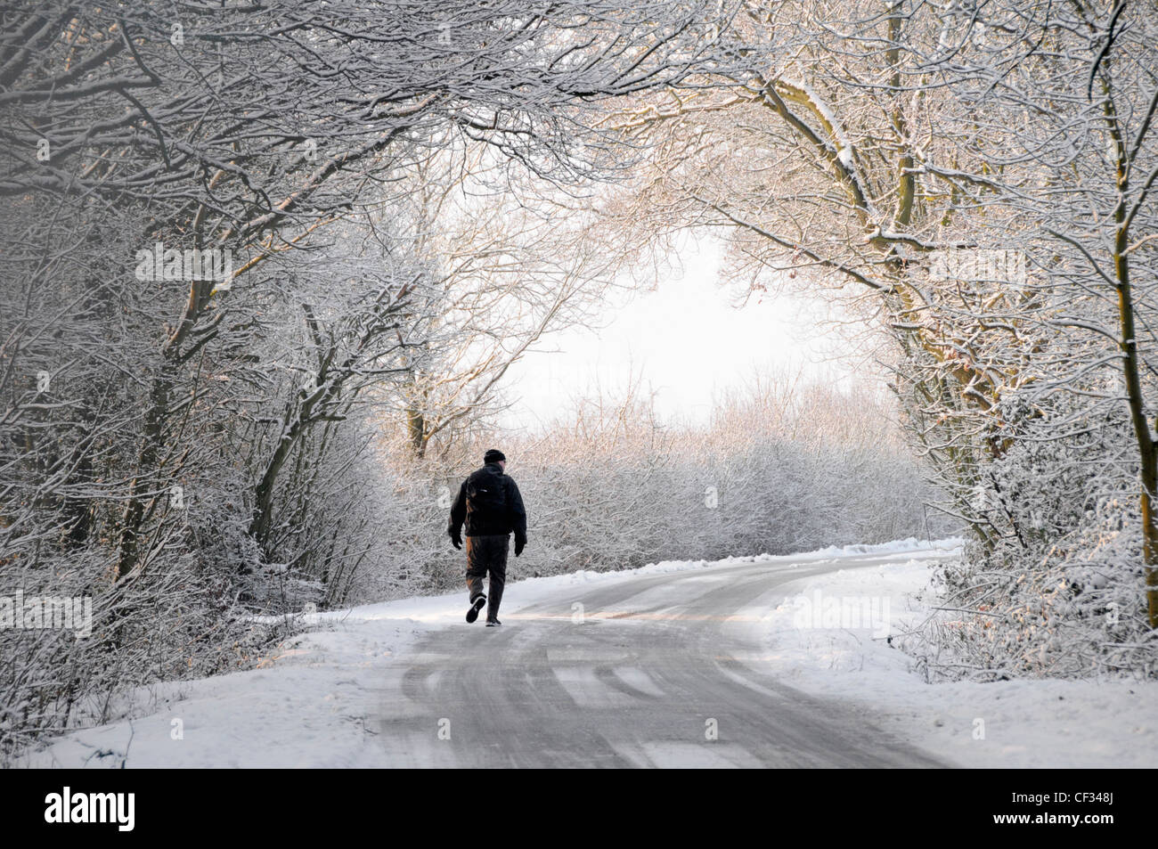 Silhouette d'homme marchant seul le long de la neige et du gel allée de campagne enneigée sous l'arche d'un arbre d'hiver blanc Les branches se plient sur la route Angleterre Royaume-Uni Banque D'Images