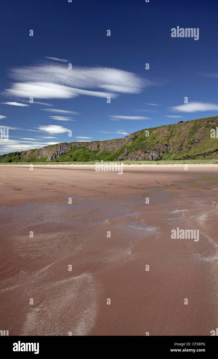 Une vue sur le sable blanc de la plage de St Cyrus et falaises dans l'Aberdeenshire. Banque D'Images