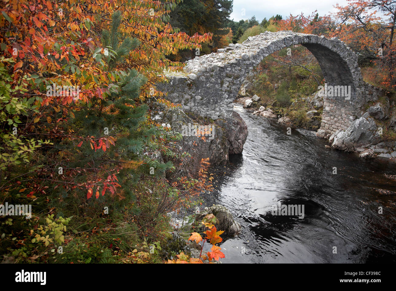 Une rivière peu profonde qui s'exécute sous un vieux pont à cheval dans Carrbridge. Banque D'Images