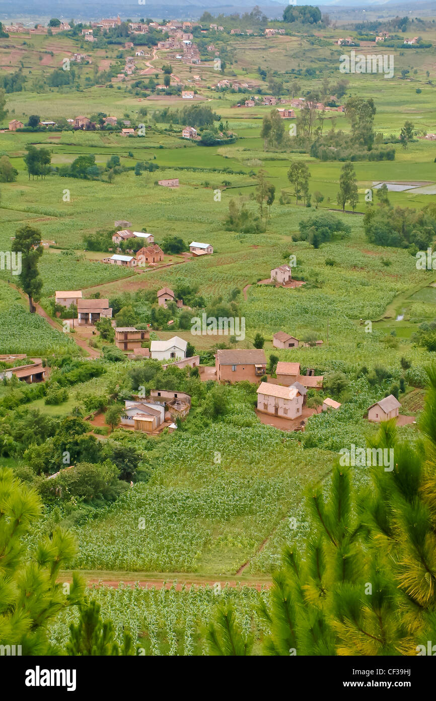 Village typiquement malgache près d'Antsirabe, hautes terres de Madagascar Banque D'Images