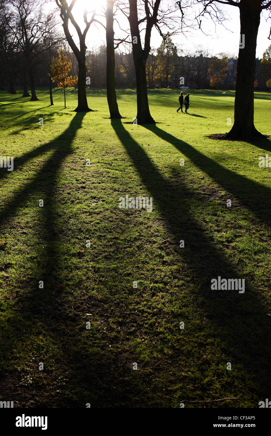 Les ombres des arbres à Meadow Park à Édimbourg. Banque D'Images