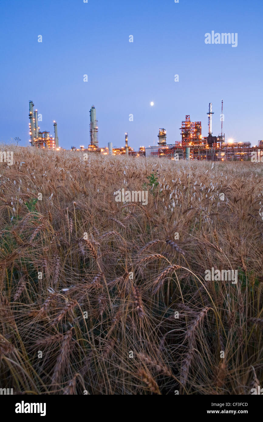 Raffinerie de carburant bio, Edmonton, Alberta, Canada. Banque D'Images