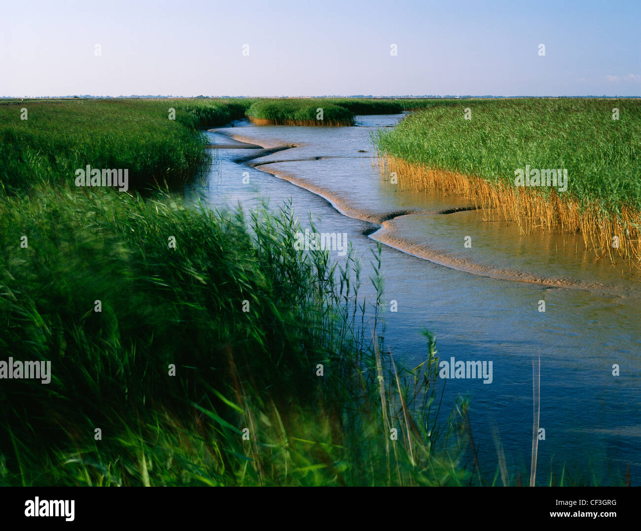 L'extrémité nord de la rivière Waveney, juste à l'ouest de Burgh Castle Roman Fort, où elle rejoint la rivière Yare en plomb de l'eau Breydon Banque D'Images