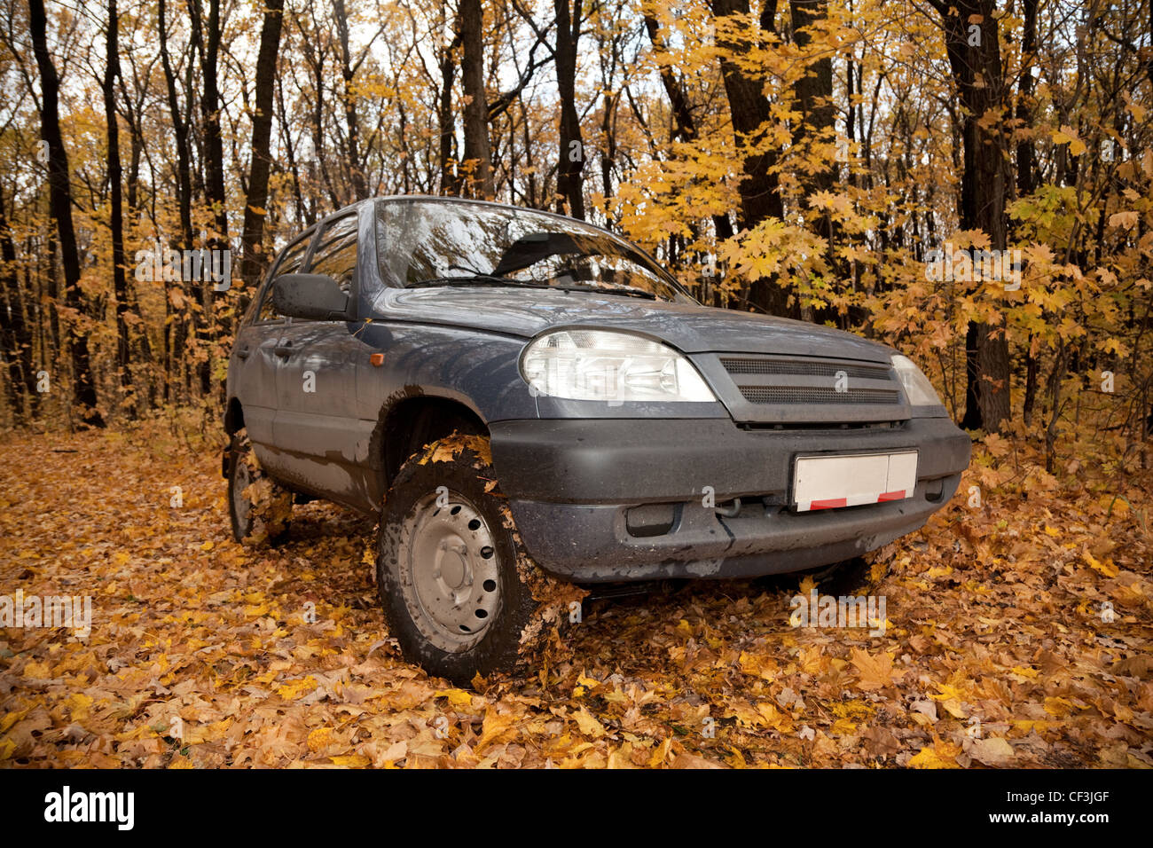 Voiture noire sale sur forêt d'automne, glade Banque D'Images