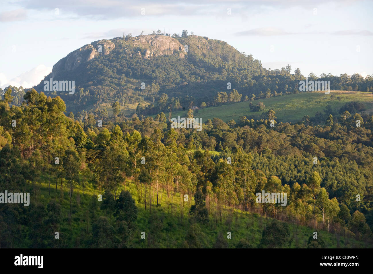Les vertes collines de la montagnes Bvumba dans le Eastern Highlands du Zimbabwe. Banque D'Images