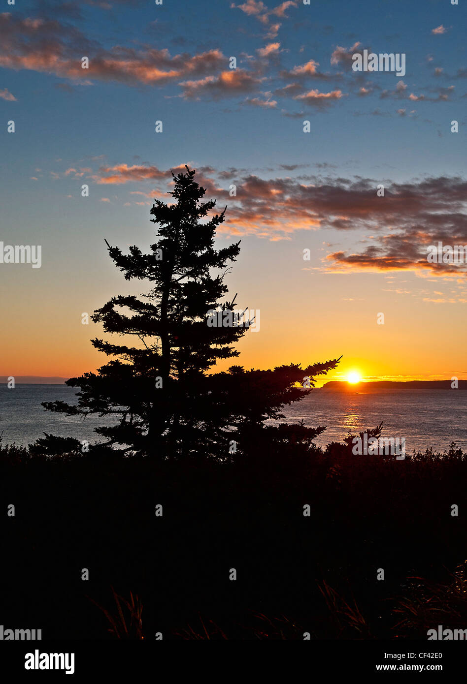 Sunrise côtières, Lubec, Maine, USA Banque D'Images